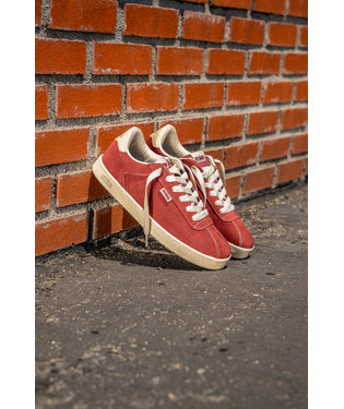 etnies Scam