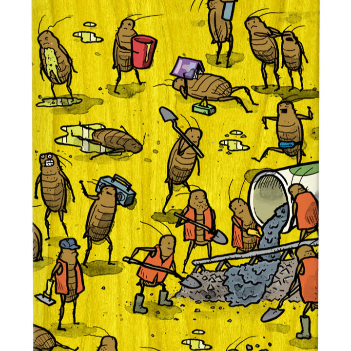 Anti Hero KANFOUSH "ROACHED OUT" 8,06"