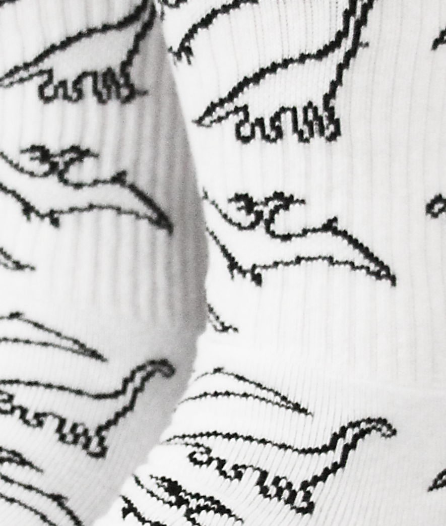 Stinky Socks "Dino" wht/blk