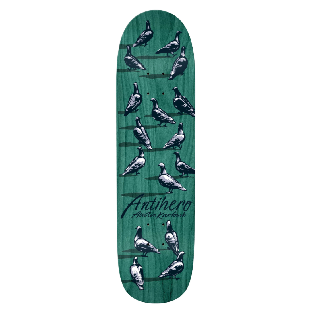 Anti Hero KANFOUSH "DAWN PIGEONS" 8,55"