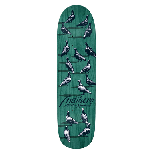 Anti Hero KANFOUSH "DAWN PIGEONS" 8,55"