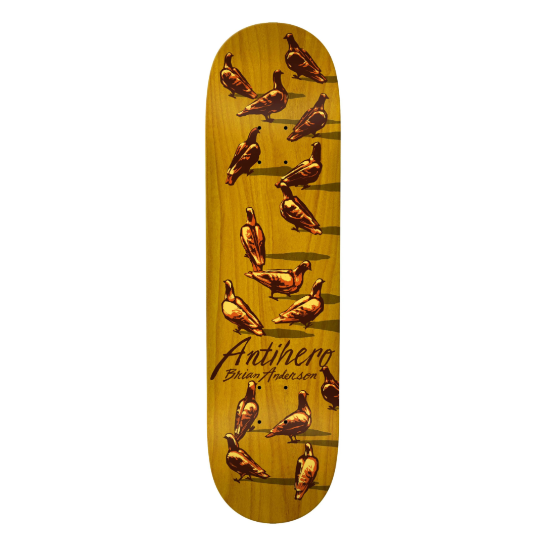 Anti Hero BA "DAWN PIGEONS" 8,8"