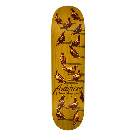 Anti Hero BA "DAWN PIGEONS" 8,8"