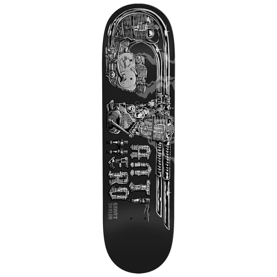 Anti Hero TAYLOR "REVINGTON RE-REV" 8,5"